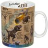 Mugs & tasses Könitz Mug knowledge mug evolution english