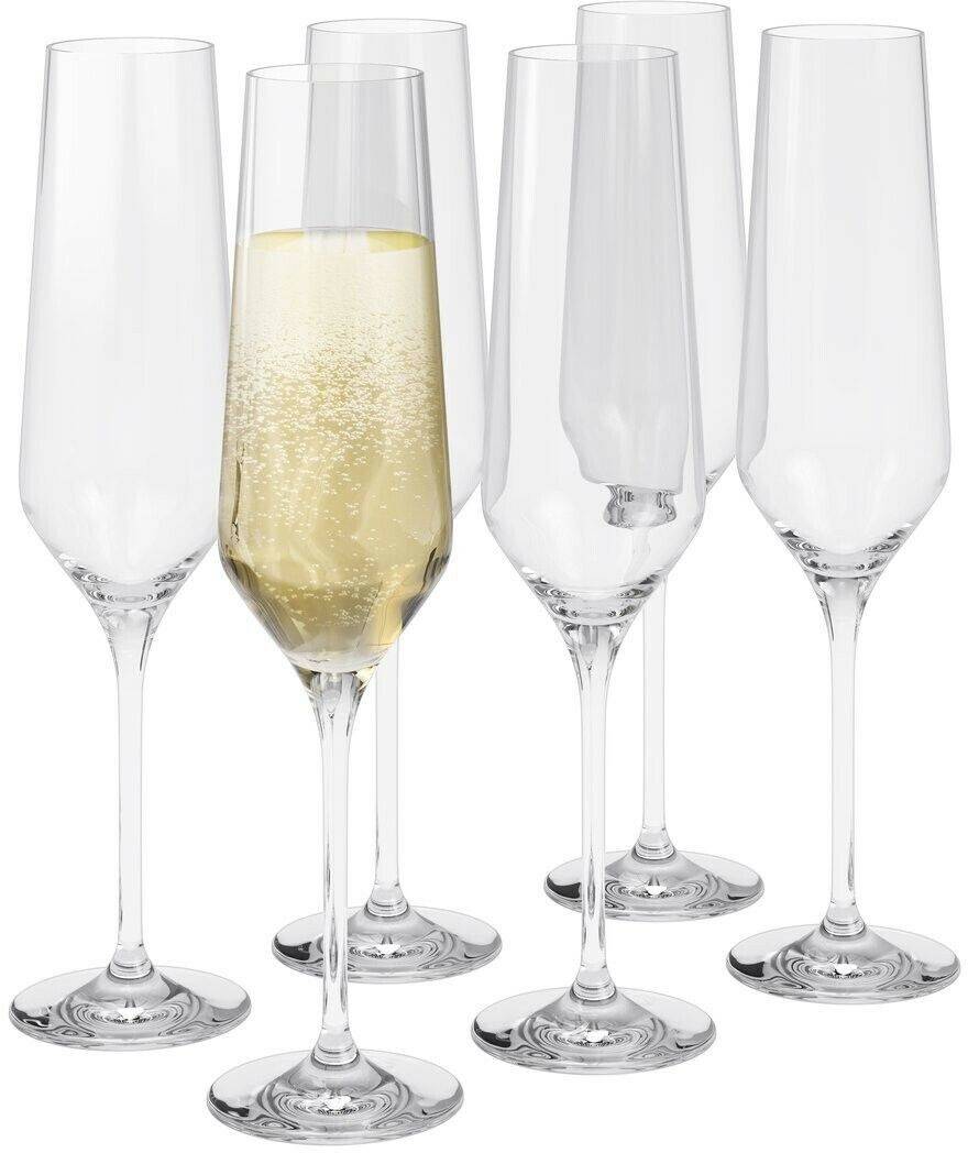 Verres à champagne Eva solo Legio Nova champagne glass 26cl pack of 6